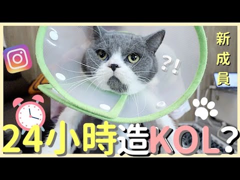 KOL的貓一天能有多少followers？ 用最新的手機幫阿蛋下海拍寫真了！！！ ft. Sony Xperia 1 II｜肥姨姨 Myfataunt