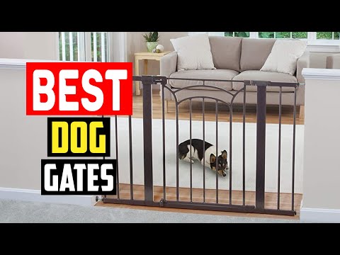 ✅Best dog gates in 2023