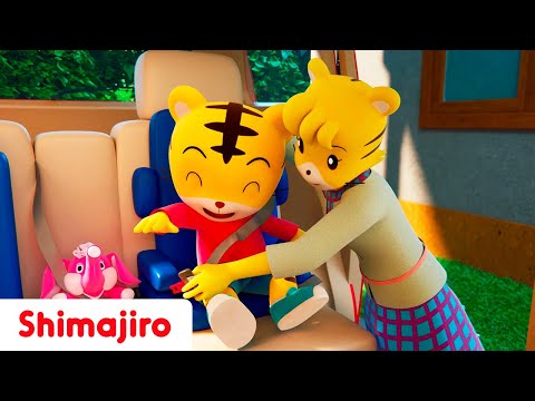 Fasten our seat belt! 🚗 | Road safety songs for kids | Shimajiro Nursery Rhymes