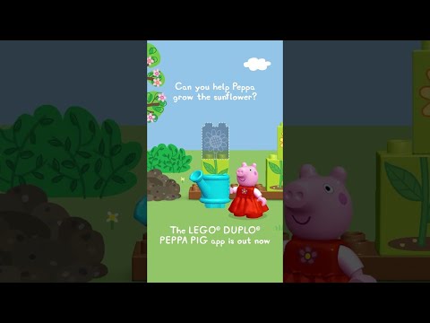 Can You Help Peppa Grow The Sunflower? #shorts #peppapig #LEGODUPLO