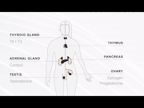 Keeping Our Hormones Balanced- Part 1