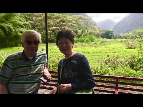 ハワイ島のワイピオ渓谷でミュールワゴンの日本語ツアー　テックスドライブインのマラサダ付き♡