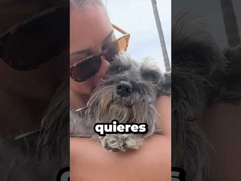 5 trucos súper fáciles para hacer feliz a tu perrito ♥️🐶 #shorts