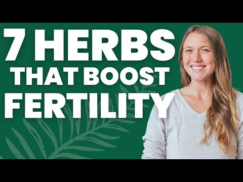 Best Herbal Supplements for Fertility 🌿 Trying to Conceive