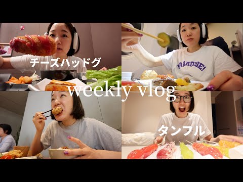 Tokyo/Seoul vlog | 学食でチーズハッドグ、タンフル大人買い、チームラボ、機内食、りんご飴