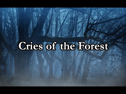 NATURE'S WAY - by TKING N MINISTRIES - Cries of the Forest - Sound (TKING)