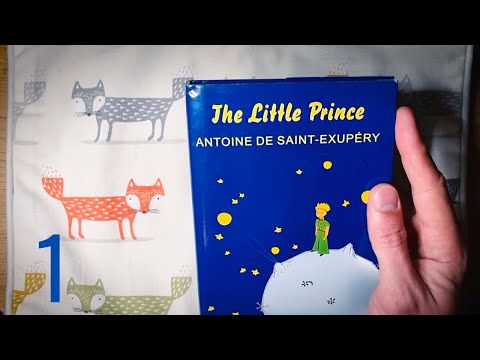 THE LITTLE PRINCE audiobook | Part 1 of 5 | unabridged, with text & pictures | READ-ALONG