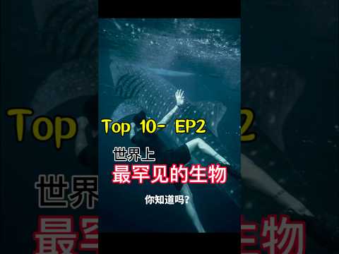 世界上最罕见的生物TOP 10👍 EP2 #top10 #奇趣 #世界奇聞 #世界之最 #动物