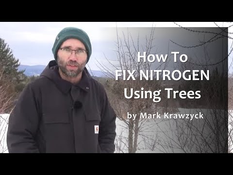 How To Fix Nitrogen on Your Property with Trees & Shrubs by Mark Krawczyk