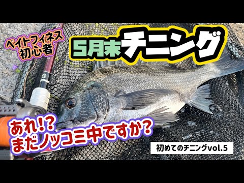 【チニング】もうすぐ初夏なのにノッコミチニングが成立！？【ベイトフィネス】