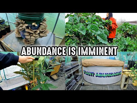 Exciting Gardening Updates! Abundance Is Imminent!!