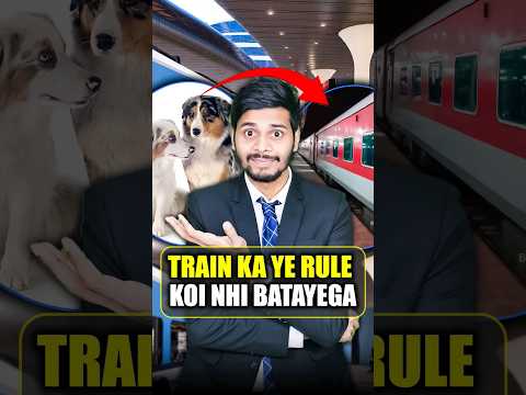 Traveling Without Train Ticket | Pet Travel 🎟️ #shorts