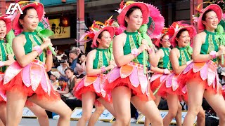 浅草サンバカーニバル 2019 vol.9 セレージャ（ノーカット） - ASAKUSA SAMBA CARNIVAL -