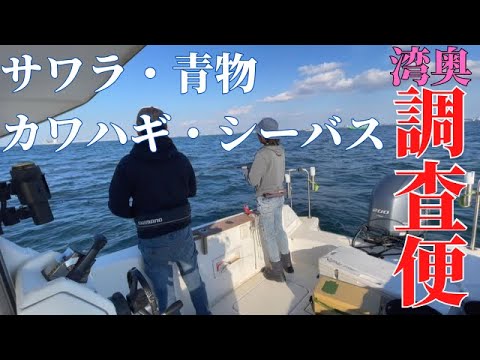 【１１月湾奥調査便】木更津近郊でサワラ、青物、カワハギを調査してきました。　＃プレジャーボート釣り　＃木更津釣り　＃湾奥釣り