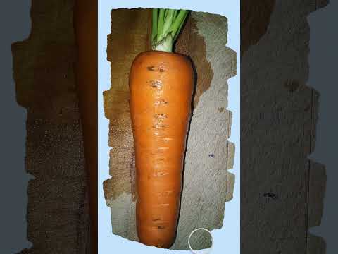 Vegetable Lovers | Fresh Carrot | Filipino Cuisine  #healthyfood #vegan #vegetables #shorts