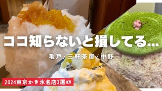 【Tokyo Vlog】世界で1番儚き食べ物/かき氷名店3選【Shaved ice】(with English subtitles)