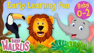 Early Learning Fun Collection | Jungle Animals and their Sounds | Counting & Colors | Educational