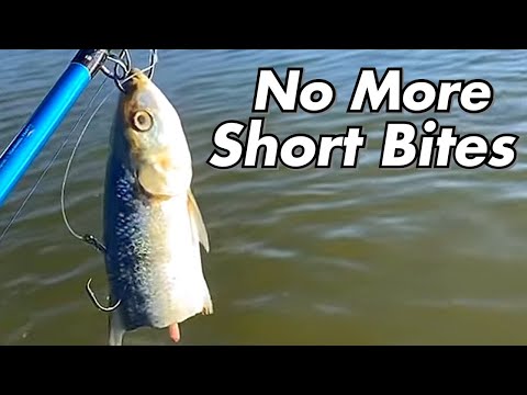 How to Tie a Double Hook Rig. (Monster Catfish Rig)