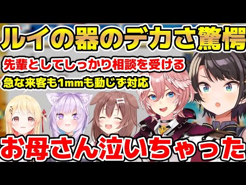 ルイの最近の対応力に器のデカさとエモさを覚えるスバル【ホロライブ/切り抜き/大空スバル/鷹嶺ルイ/猫又おかゆ/犬神ころね/音乃瀬奏】