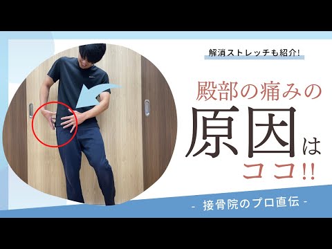 【お尻の痛み〜上殿神経麻痺・トレンデレンブルグ兆候〜】歩くと片方のお尻が痛い、立っていると片方の腰とお尻が痛くなってくるときのストレッチ！｜接骨院のプロが教えるお家セルフケア｜テラピスト接骨院.