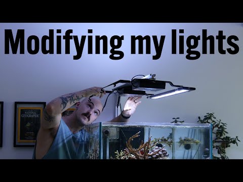 Modifying the Lights on my Custom Peninsula Reef Aquarium