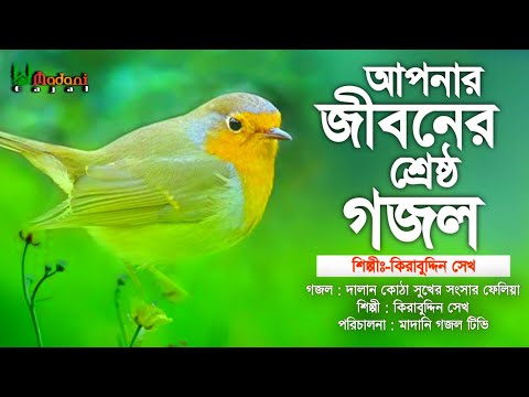 আপনার জীবনের শ্রেষ্ঠ গজল || Dalan Kotha Sukher Songsar || দালান কোঠা সুখের সংসার || Kirabuddin Sk