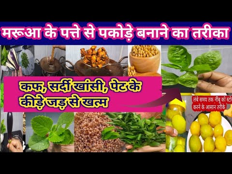 jawari pakoda recipe /ये पकोड़े सर्दी जुखाम की दवा | | arurvedic paudha| baigan ki recipe|