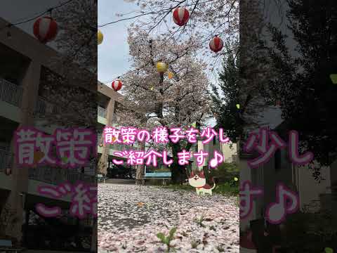 2024年 愛全園の桜が満開 #Shorts #介護施設 #特別養護老人ホーム #愛全園 #桜