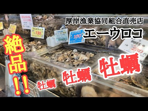 【北海道】牡蠣の名産地！厚岸町の牡蠣を食べに行ってきた✌🏻