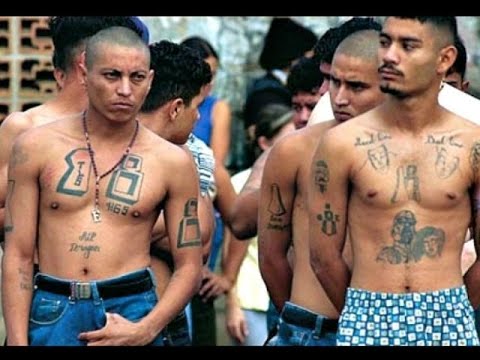 A Tale of 3 Counties: Criminal Illegal Aliens