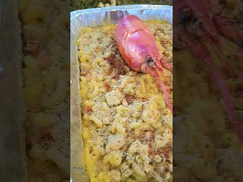 lobster mac and cheese #memorialday #weekend #food #shorts #bbq