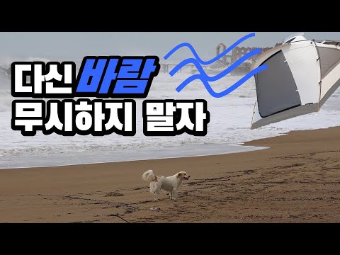 날씨어플 풍속 바람 세기 보는법 | 보퍼트 풍력등급 | 강풍 대처법