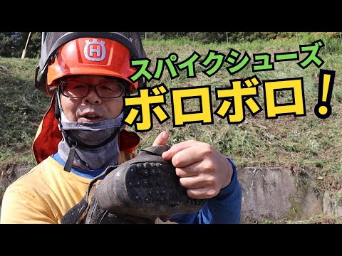 久しぶりに晴れました～！気分爽快草刈りします。スパイクシューズはボロボロです