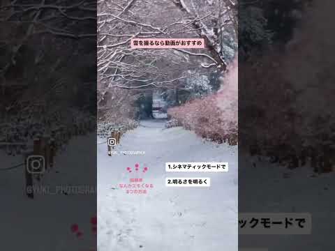 雪が降ったから写真に撮りたい！でも全然思ってるように撮れない！！そんな時は、写真より動画の出番。iPhoneのシネマティックモードがおすすめ。iPhone13以降の機種をお持ちの方ぜひお試しください✨