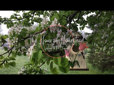 The Home in Homestead - Welcome to The Channel!