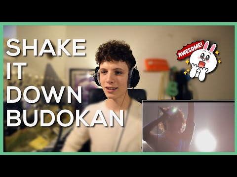 ONE OK ROCK - Shake It Down Live • BUDOKAN • Reaction Video • FANNIX