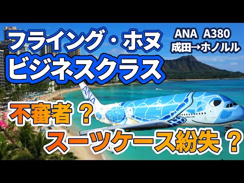 【ハワイ】二階建て飛行機フライングホヌのビジネスクラスでハワイに到着。しかしスーツケース紛失事件に巻き込まれ、さあどうなる？