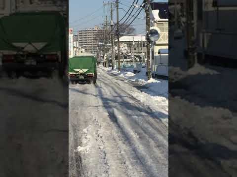 さいたま市見沼区 大雪 朝の風景 ＃大雪 ＃埼玉県  ＃東大宮