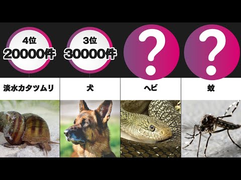 危険生物ランキングｗｗｗ（ 年間死亡被害数 ）