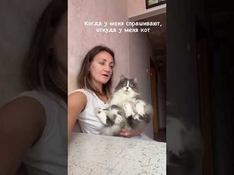 Марина Вульф рассказывает откуда у нее кот