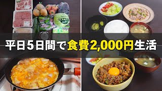 【食費節約術】一人暮らし社会人の平日5日間の自炊と買い物記録