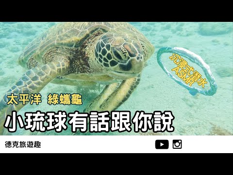 屏東｜小琉球一起跳海 沉浸式海洋ASMR浮潛｜【#TravelWithDex Vlog 32】#旅遊