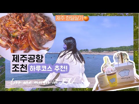 제주 한달살기 브이로그 | 맛집 발견하고 여행공모전 당첨되었던 소소한 나날들..🧸 | 제주공항 근처와 조천 당일치기 코스 | 유랑노니