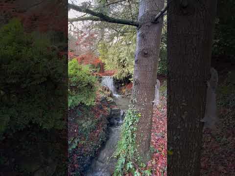 Enjoying an afternoon in Aberdare Park. Can you spot the squirrel? 🐿️