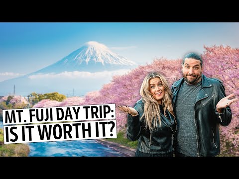 Mt Fuji Day Trip from Tokyo | Bullet Train, Hakone Ropeway, Lake Ashi, Oishi Park, & MORE! 🇯🇵