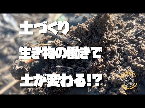 【有機物】で【微生物】を増やせ！！【緑肥】で土づくり【農家の家庭菜園】