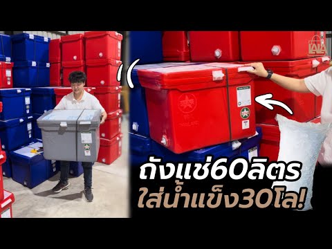 ถังแช่60ลิตร ใส่น้ำแข็งได้30โล ? น้ำแข็ง1กระสอบพอดีไหม? | lalashopth