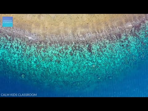 Quiet Music For Kids In The Classroom - Shoreline beach waves, relaxing music for classroom work