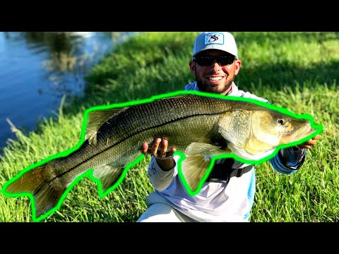 New Personal Best Snook | Tarpon Fishing in a Pond