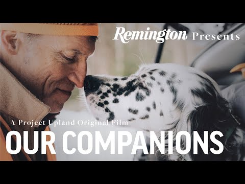 Our Companions - Grouse Hunting New York - Remington Ammunition Presents